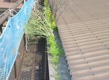 <br />
<b>Warning</b>:  Undefined variable $ttl in <b>/home/pcb184/shanetsu-achiwabankin.jp/public_html/cms/wp-content/themes/achiwabankin/single-menu.php</b> on line <b>123</b><br />
